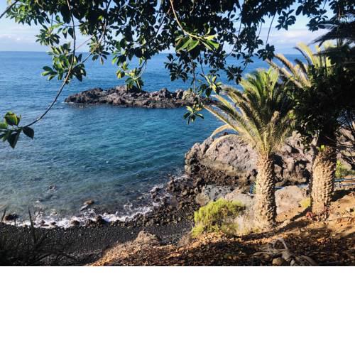 Alcala Surf Camp