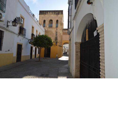 ALCAZAR VIEJO SUITE Tourist Córdoba