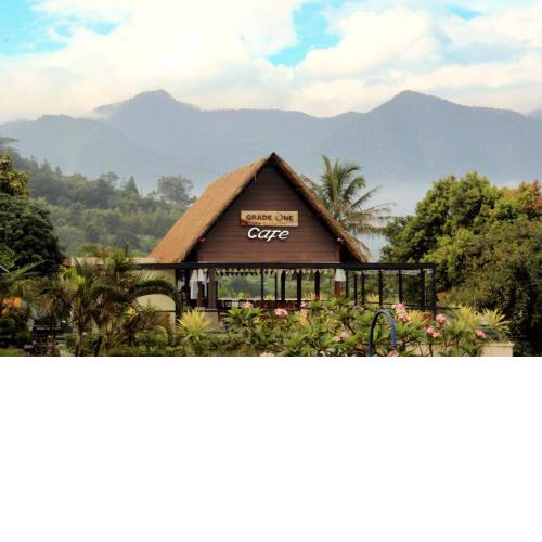 Alfa Resort Hotel and Conference