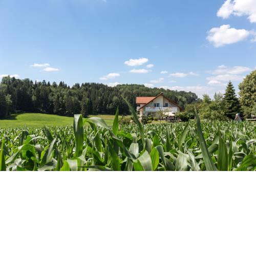 Alfreds Ferienbauernhof