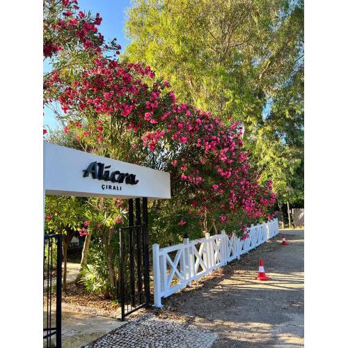 Alicra Hotel Çıralı