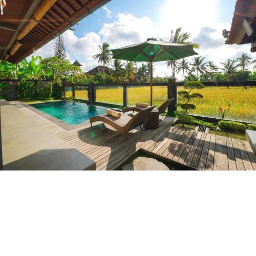 ALISA VILLA