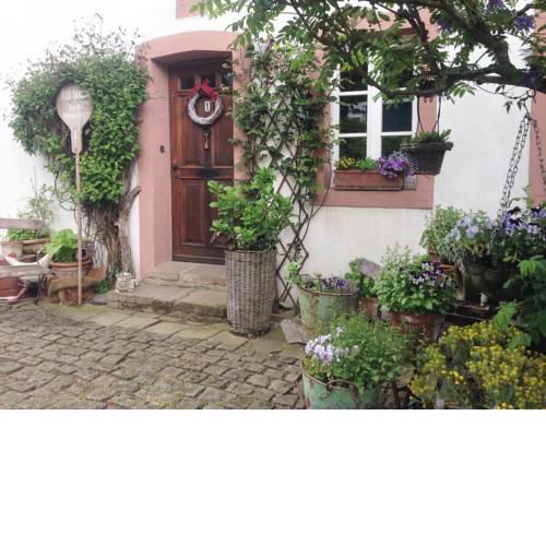 All Seasons Bed & Breakfast