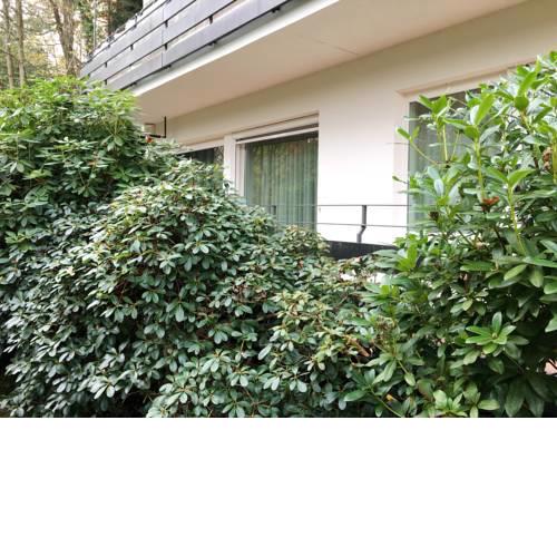 Allee Apartment