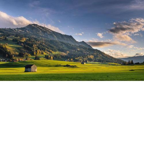 Allgäuer Heimat