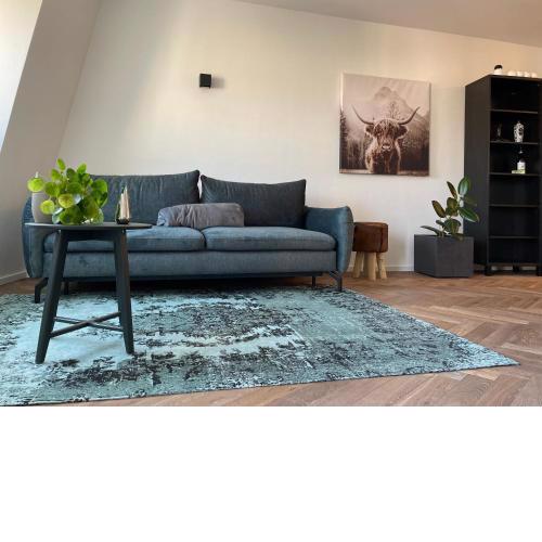 Almas Penthouse view - Two room Apartment