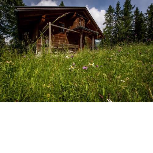 Almhaus Lärchegg