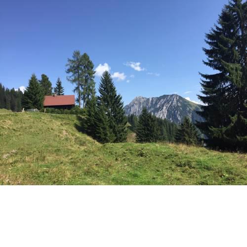 Almhütte in den oberösterreichischen Alpen