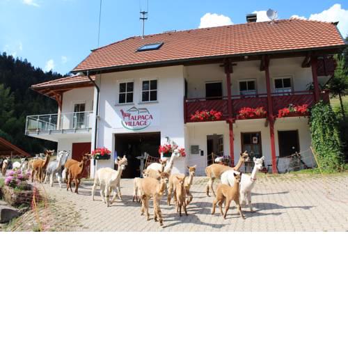 Alpaca-Village