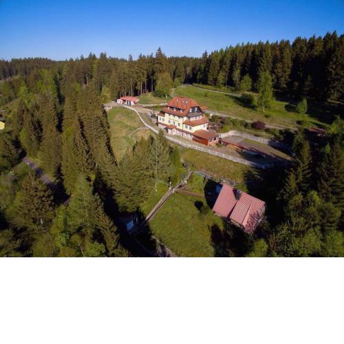 Alpaka Haus Sanssouci Tanne Oberharz
