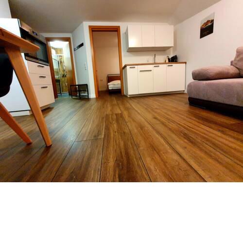 Alpen Apartment + Sauna und Netflix