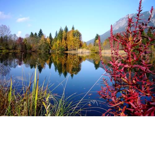 Alpenflair Ferienwohnungen, Whg 225 Gipfelblick