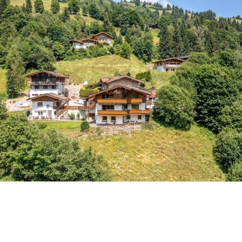Alpensteinbock Saalbach C