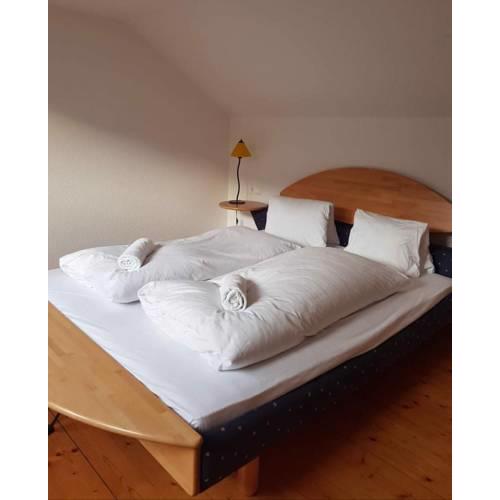 Alpin Apartment