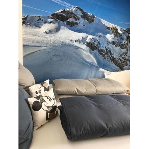Alpin Appartement Reinhard Tritscher