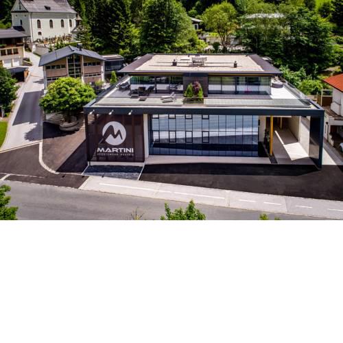 ALPINE LOFT Martini