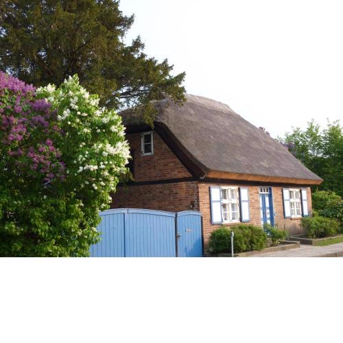 Alte Kate mit Bau-& Zirkuswagen im Gartenidyll