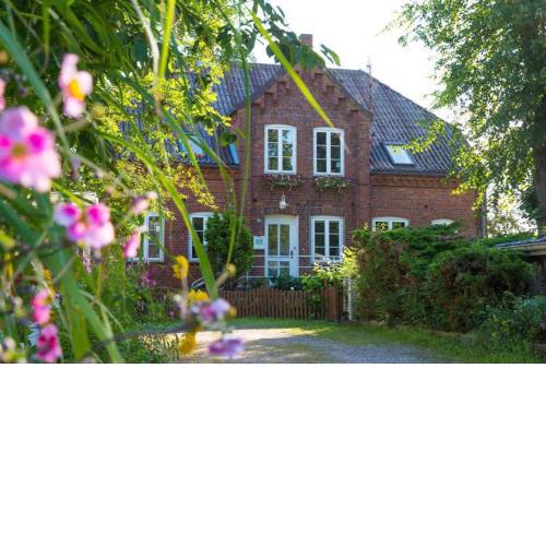 Alte Meierei - Seestrasse 19