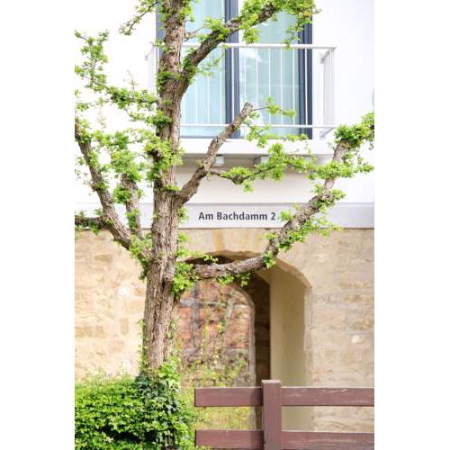 Alte Stadtmauer - Apartment