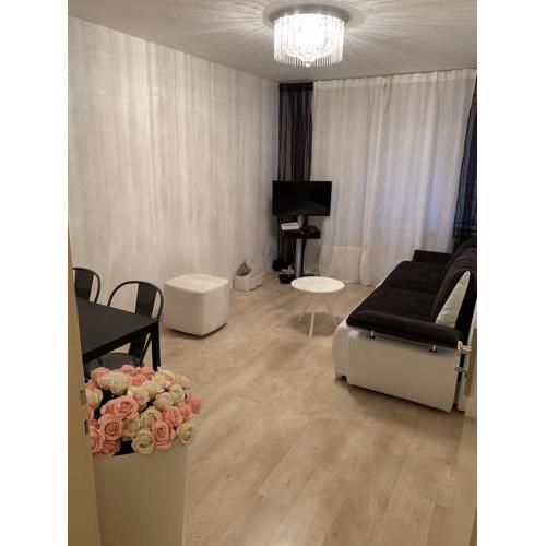 Altstadt Apartment