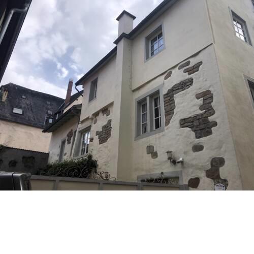 Altstadtmeise