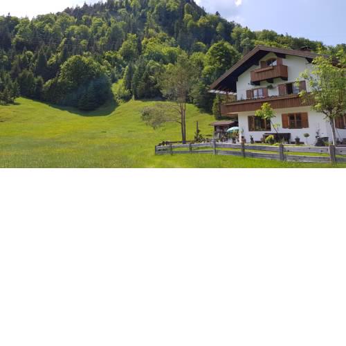 Am alten Skihang
