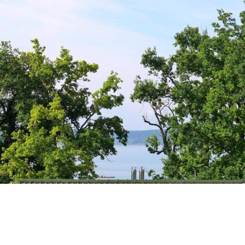 Am Bodensee-Radweg