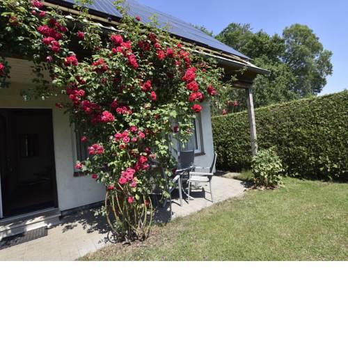 Quaint Holiday Home in Neubukow with Terrace