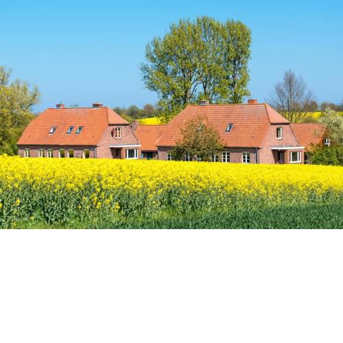 Am Hut