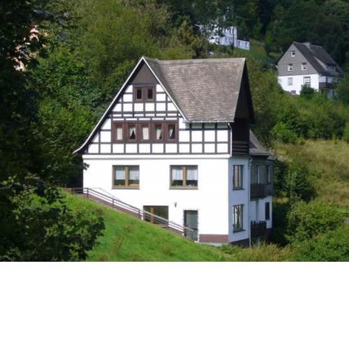 Spacious Holiday home in Nordenau Suaerland with private terrace