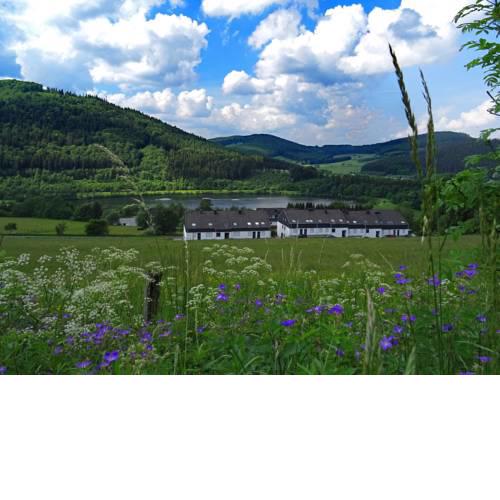 Spacious Apartment near Winterberg near Ski Area