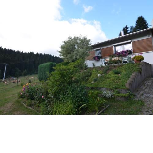 Luxury Apartment in Piesau Thuringia near Ski Area