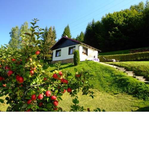 Cozy Cottage in Langenbach Thuringia near Lake