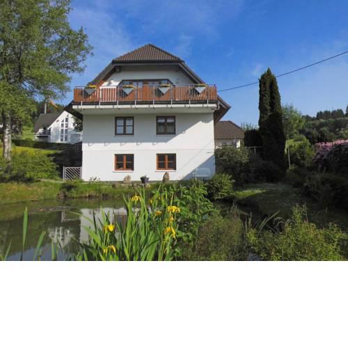 Modern Apartment in Brachthausen near Forest