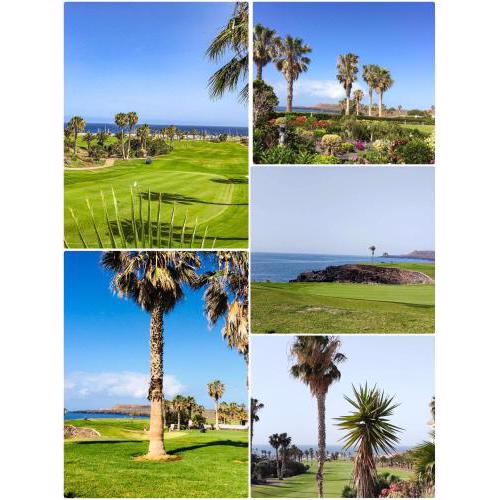 Amarilla golf 2c3