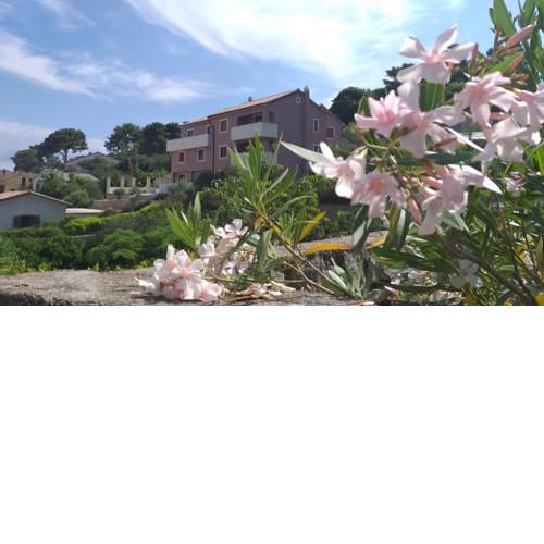 Amaryllis residence, apartment Diana
