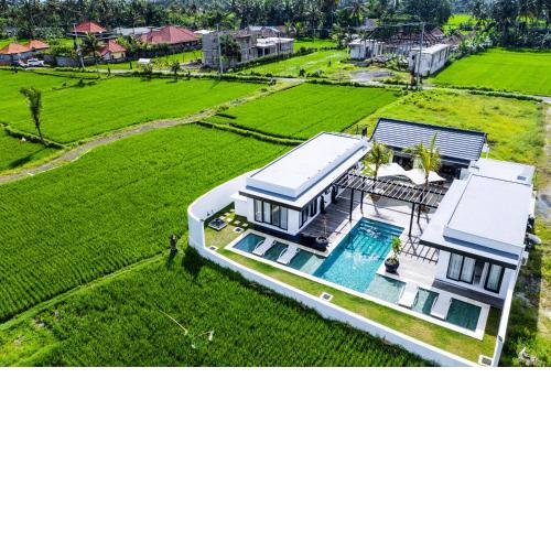 AMAZING 3Br Villa in the middle of Ricefields
