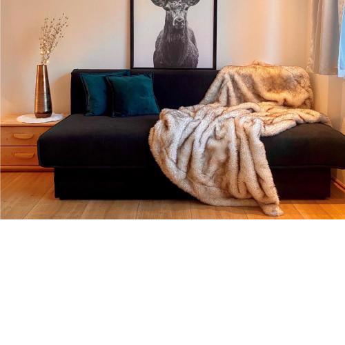 Amazing apartment in Dalaas with 1 Bedrooms