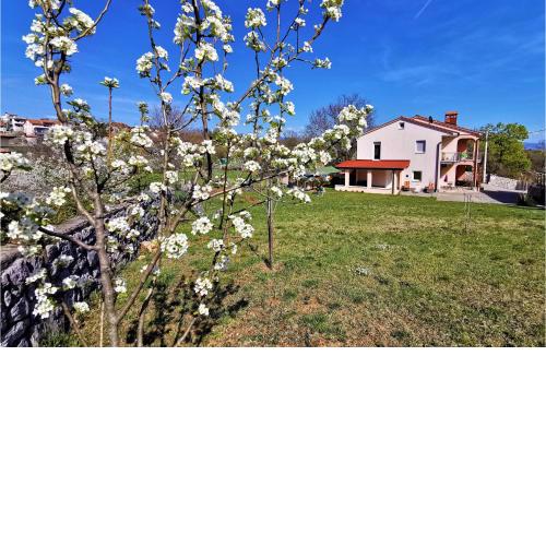 Amazing apartment in Kastav with Jacuzzi, WiFi and 2 Bedrooms