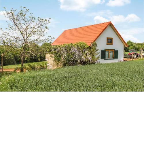 Amazing home in Hannersdorf with 2 Bedrooms and WiFi