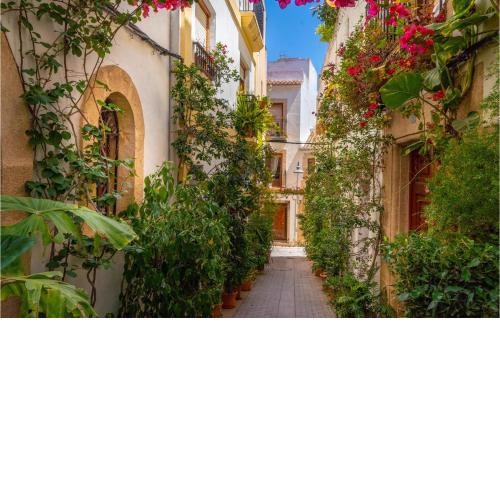 Amazing home in Xàbia with 1 Bedrooms