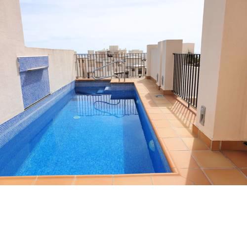 Amazing Penthouse with Rooftop Pool in Estepona