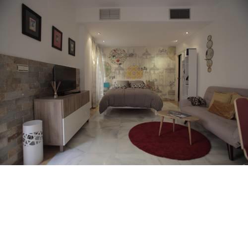 Amazing studio in the old city
