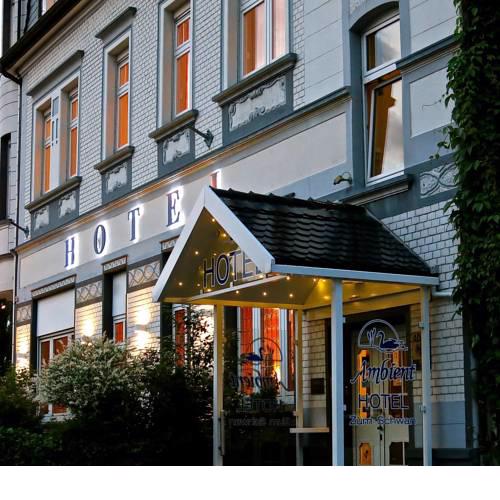 Ambient Hotel Zum Schwan