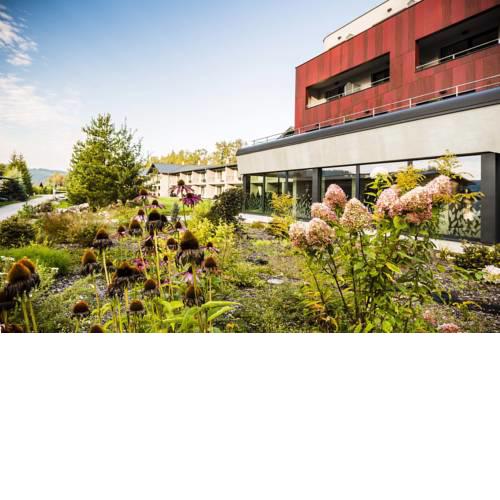 Amenity Hotel & Resort Lipno