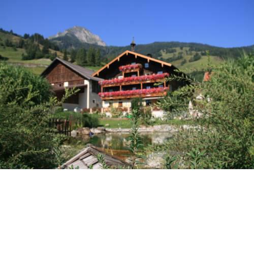 Amosergut