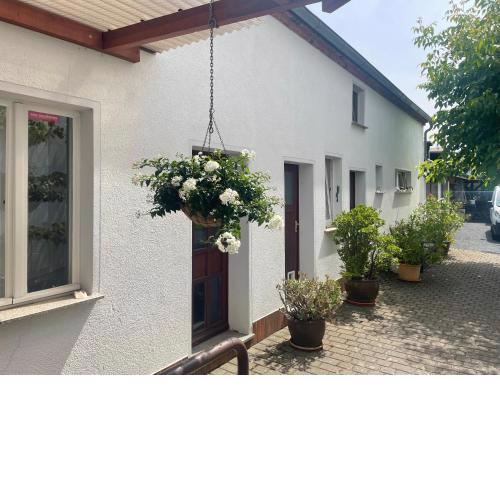 An der Bürgeheide