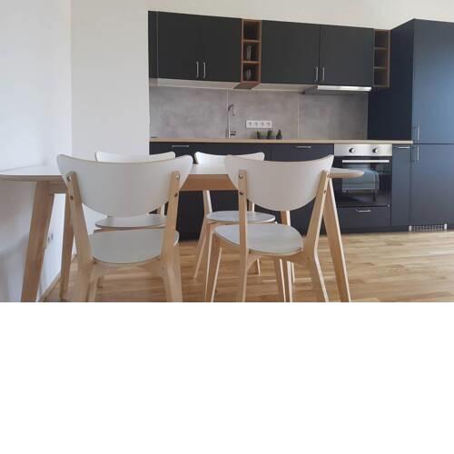 An entirely new built appartment next to ECB
