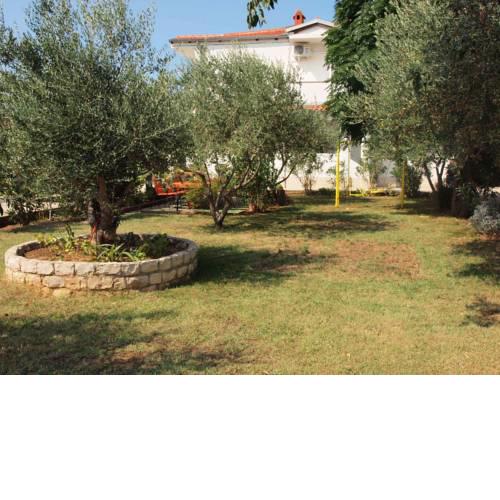 Ana Guest House