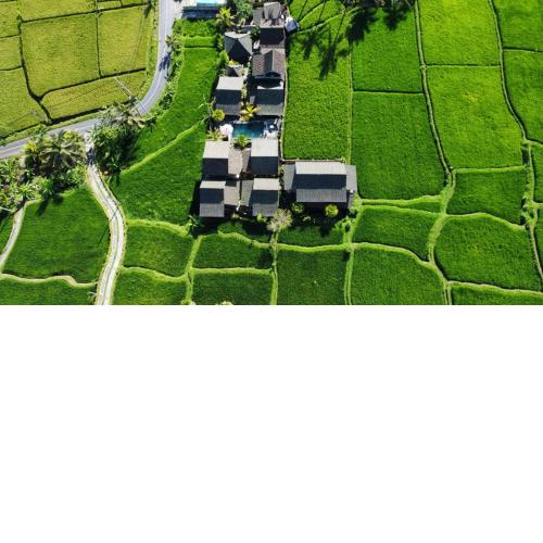 Ananda JJ Ubud Resort & Spa